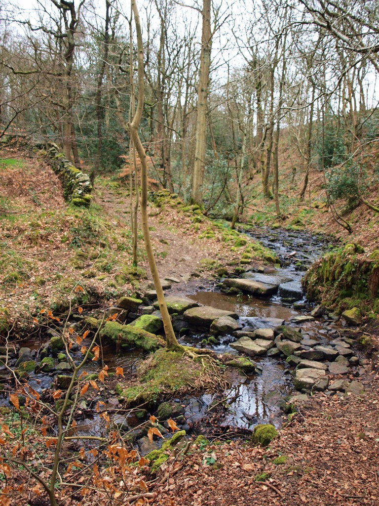 Stream near Holymoorside